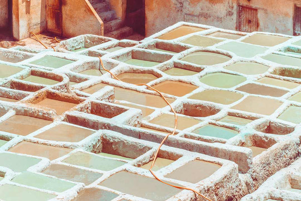 Chouara Tannery II