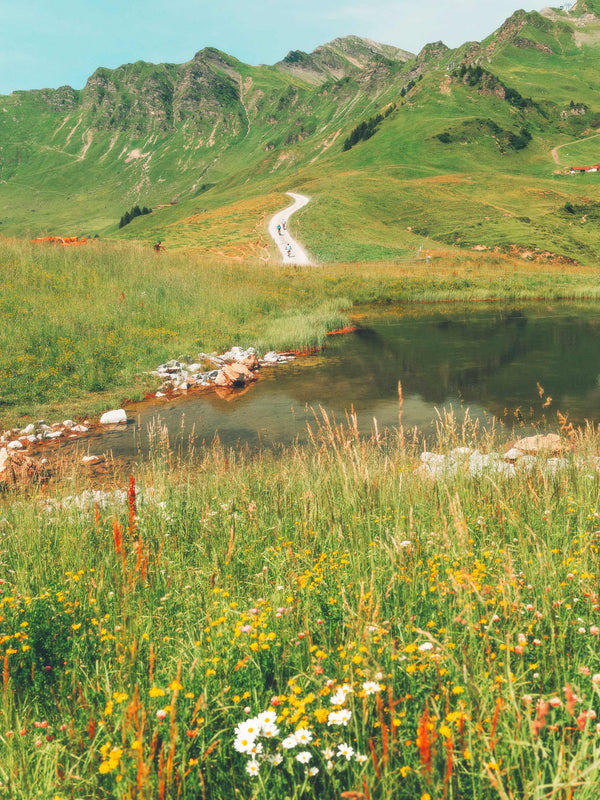 Mountain Road, Champéry, Switzerland