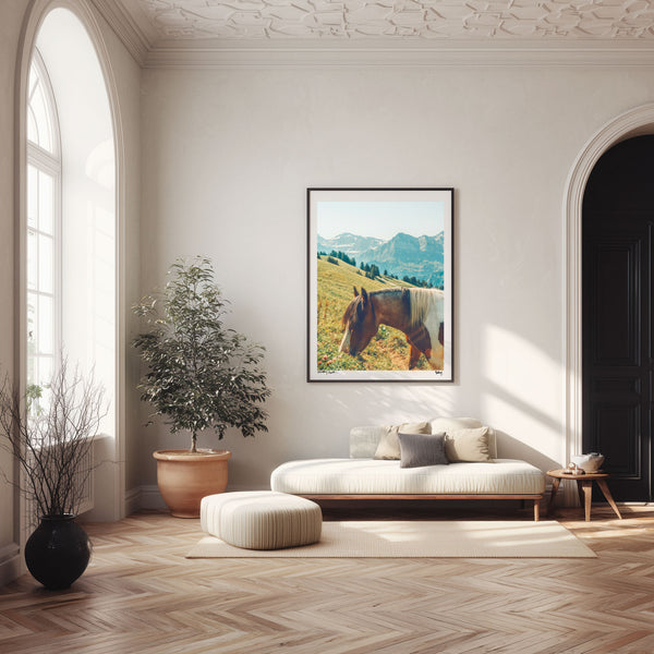 Horse, Champéry, Switzerland