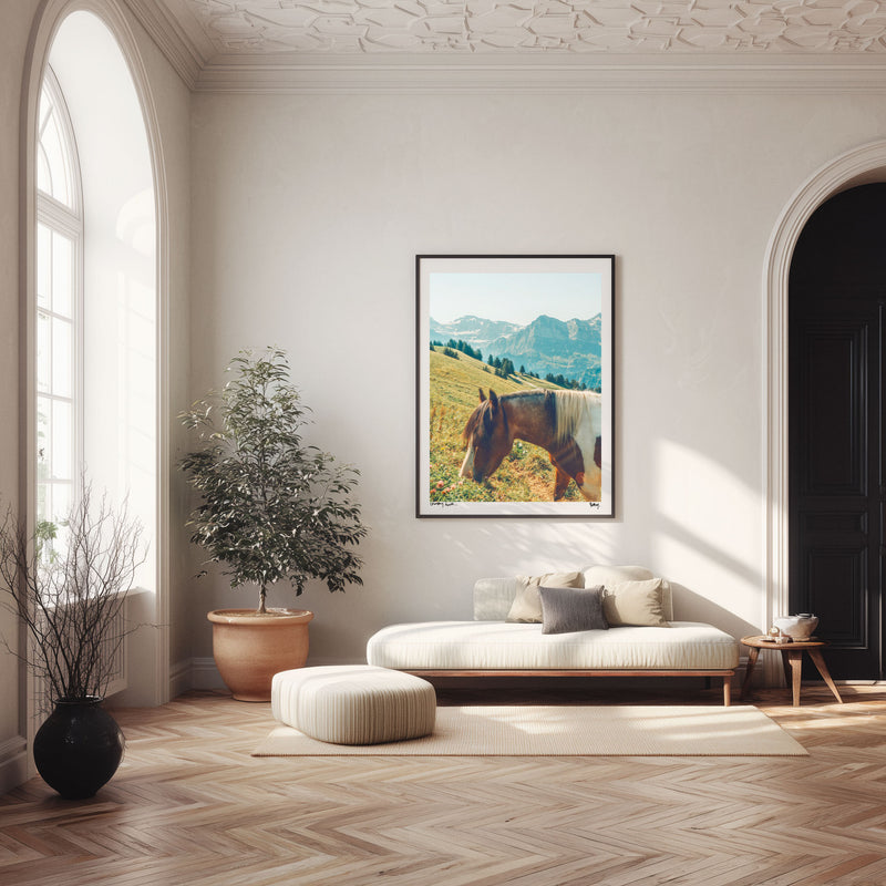 Horse, Champéry, Switzerland