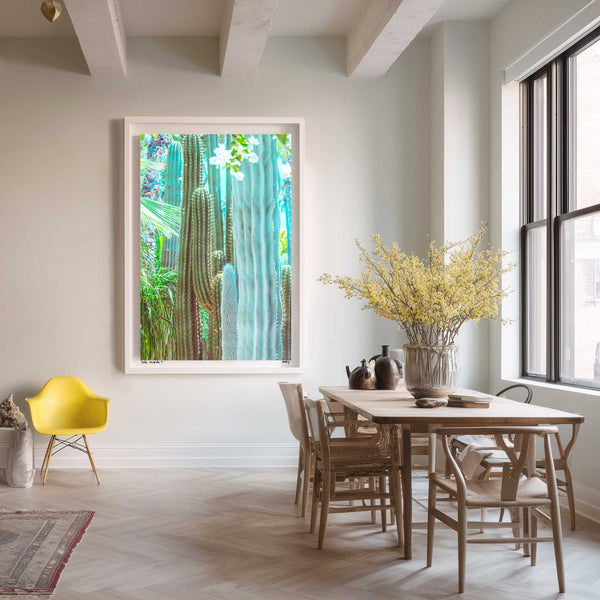 Jardin Marjorelle II