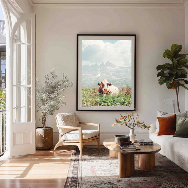 Cow, Champéry, Switzerland