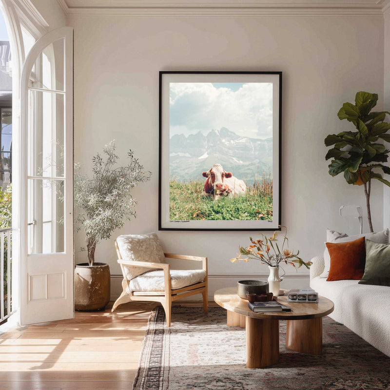 Cow, Champéry, Switzerland