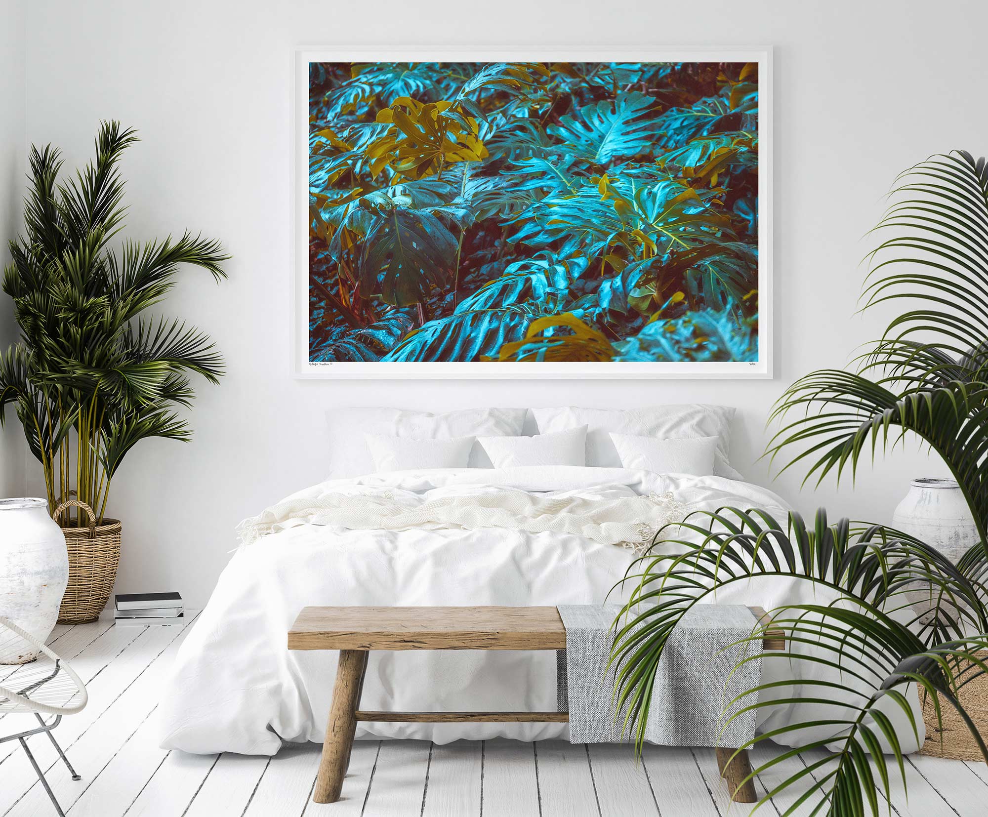 Midnight Monstera III – Fine Art Photography by Pottsy